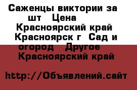 Саженцы виктории за 10шт › Цена ­ 500 - Красноярский край, Красноярск г. Сад и огород » Другое   . Красноярский край